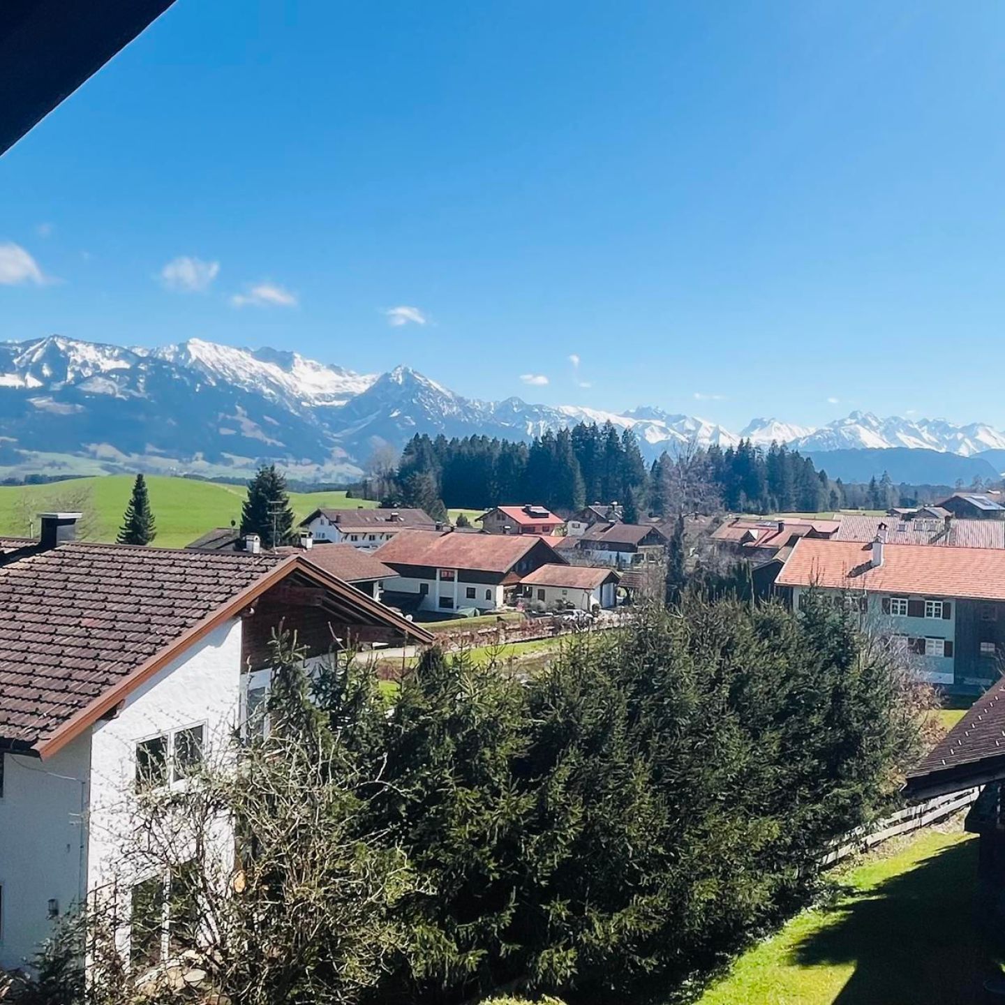 Ausblick Zirbe